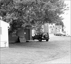 Fawn's Jeep