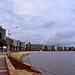 Montevideo shoreline