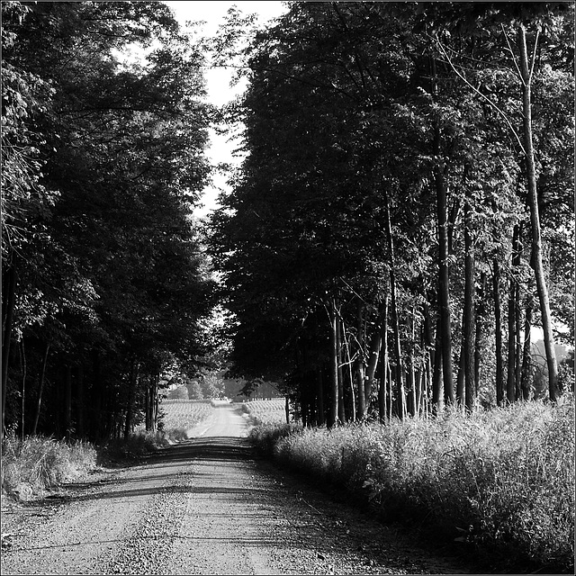 Loucks School Road