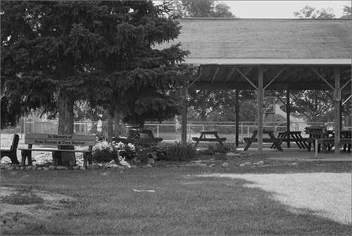 Pavilion