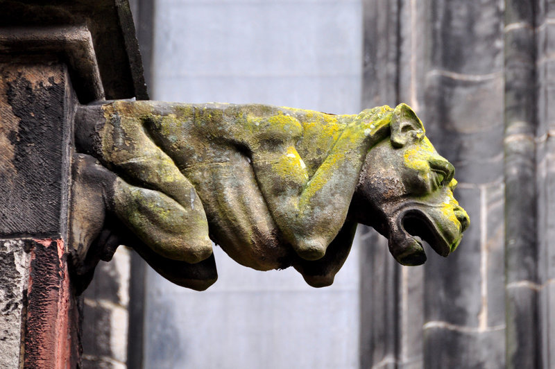 Utrecht Dom Church gargoyle