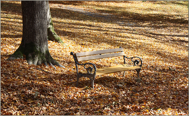 Der Herbst läd nochmals ein...