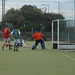 Fingal 2nd's vs Weston 091113