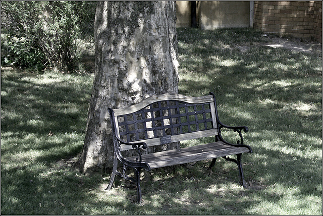 A Bench in the Shade