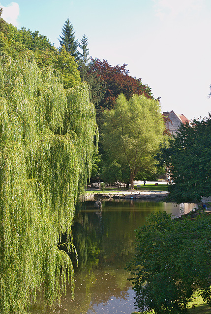 Stryjpark