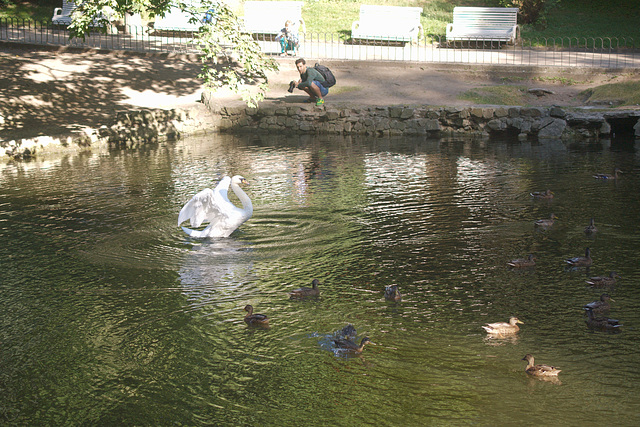 Stryjpark