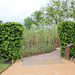 Le jardin d'amour- Jardin 21 (2)