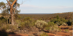 View from Moonabie escarpment