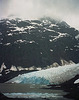 Bear Glacier BC 502a1