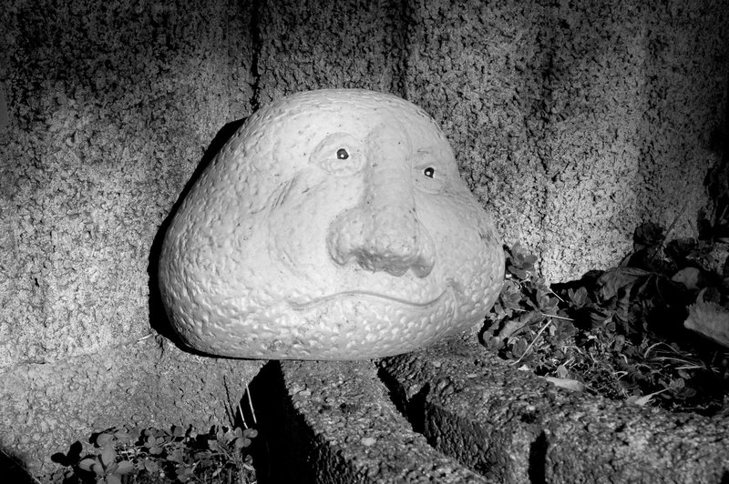 Sinjoro Ŝtono (Herr Stein)