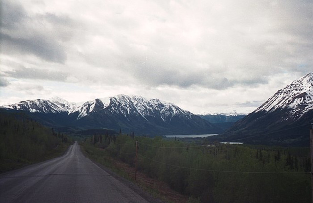 Cassiar Highway 510a1