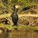 lee valley nature reserve, essex