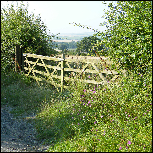 country field gate