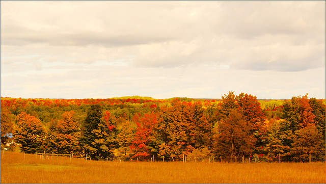 Scenic Overlook