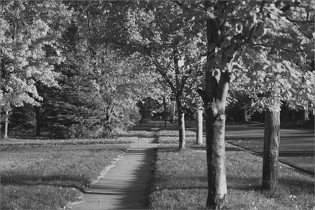 Autumn Sidewalk