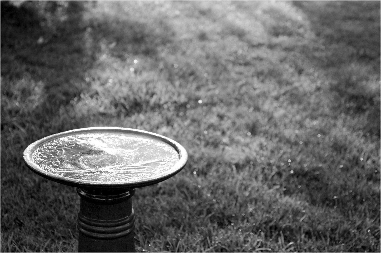 Ice on the Birdbath