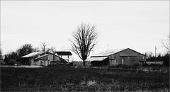 Barns, St Joe