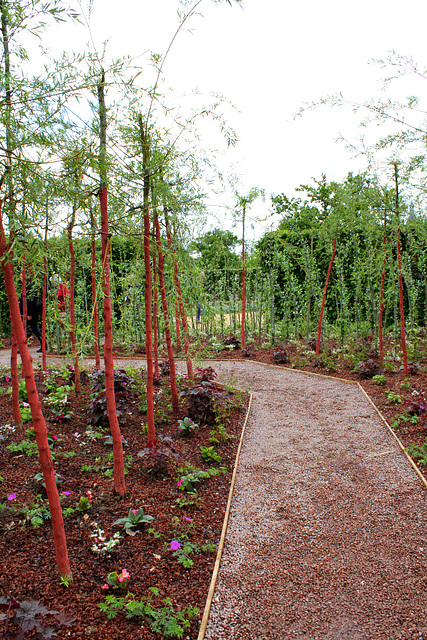 Le jardin d'amour- Jardin 21