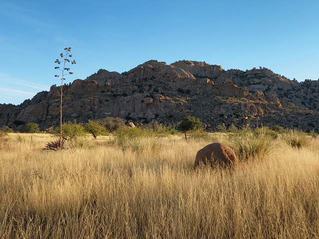 West Cochise Stronghold