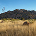 West Cochise Stronghold