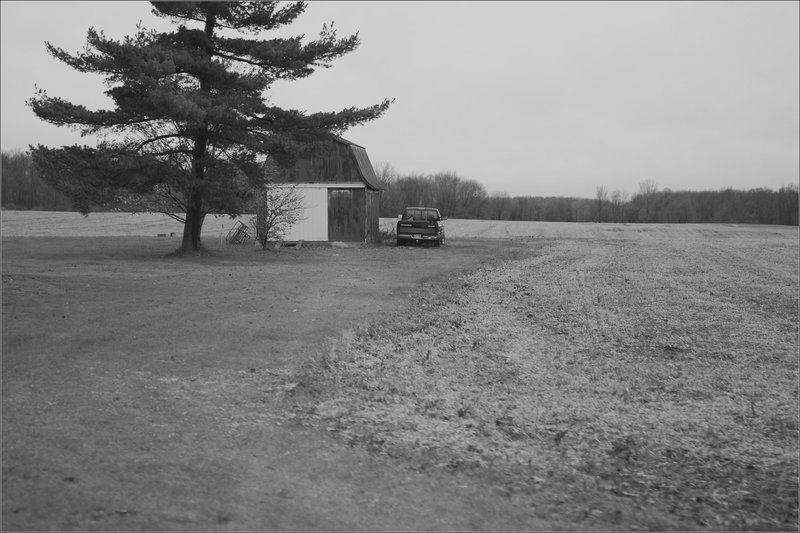 Shed, Musgrove Highway