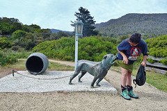 Tassie trip