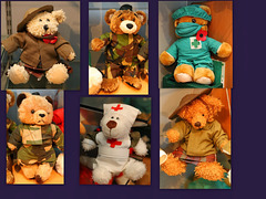 Would you rehome a Soldier Bear?