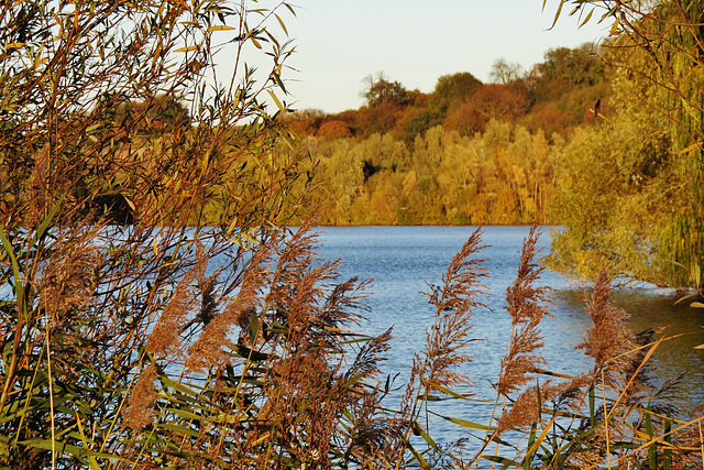 lee valley nature reserve, essex