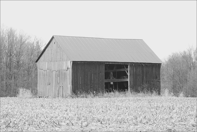Barn