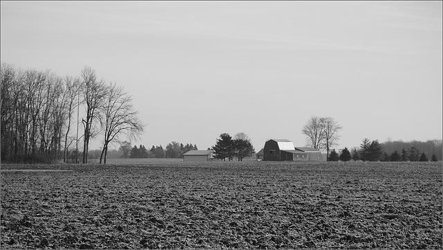 Distant Farmyard