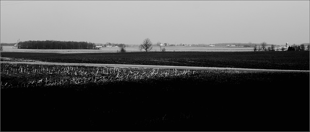 Looking North from Knoll