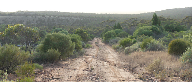 View from Moonabie hills.