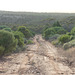 View from Moonabie hills.