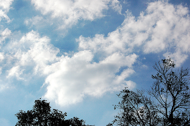 nuboj (Wolken)