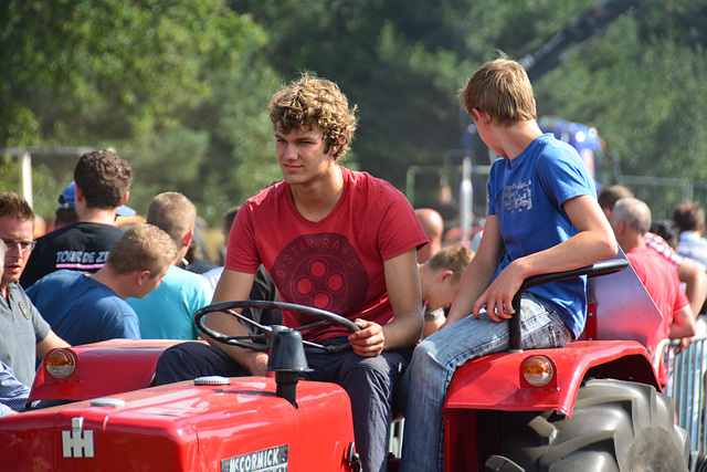 Oldtimerfestival Ravels 2013 – Tractor driver