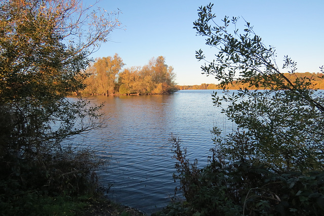 lee valley nature reserve, essex