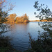 lee valley nature reserve, essex