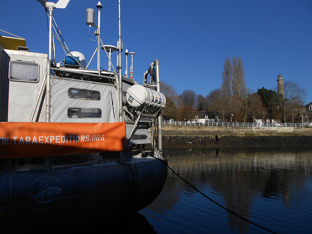 Tara à quai