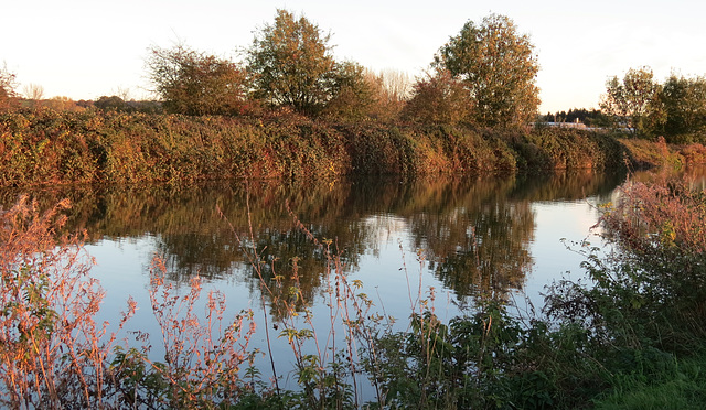 lee valley nature reserve, essex