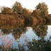 lee valley nature reserve, essex