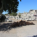 The ruins at Ephesus, Turkey.  http://en.wikipedia.org/wiki/Ephesus