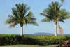 View to Laguna Bay and Noosa