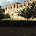 Outer wall at Pompeii.