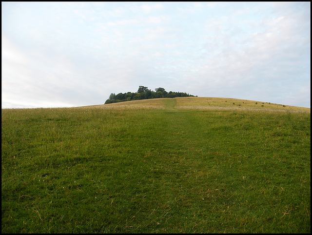 path to the top