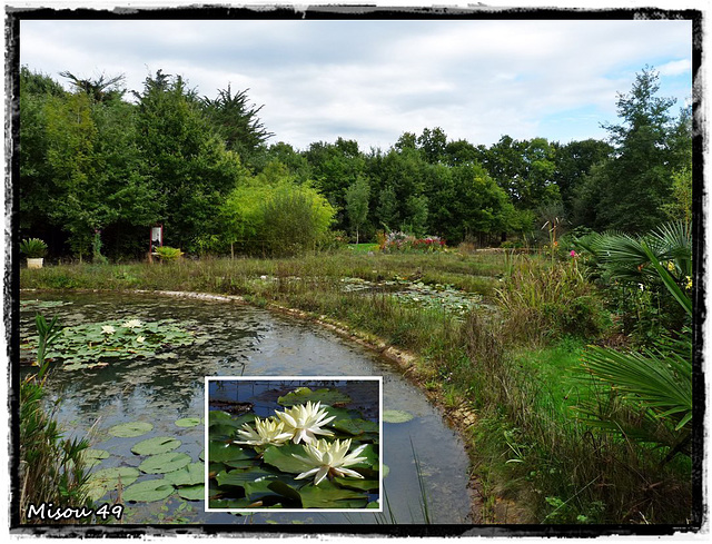 JARDINS du LORIOT-VENDEE