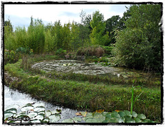 JARDINS du LORIOT-VENDEE