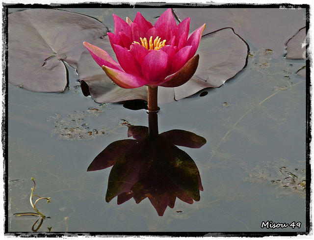 JARDINS du LORIOT-VENDEE