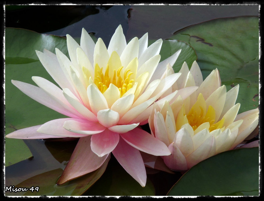 JARDINS du LORIOT-VENDEE