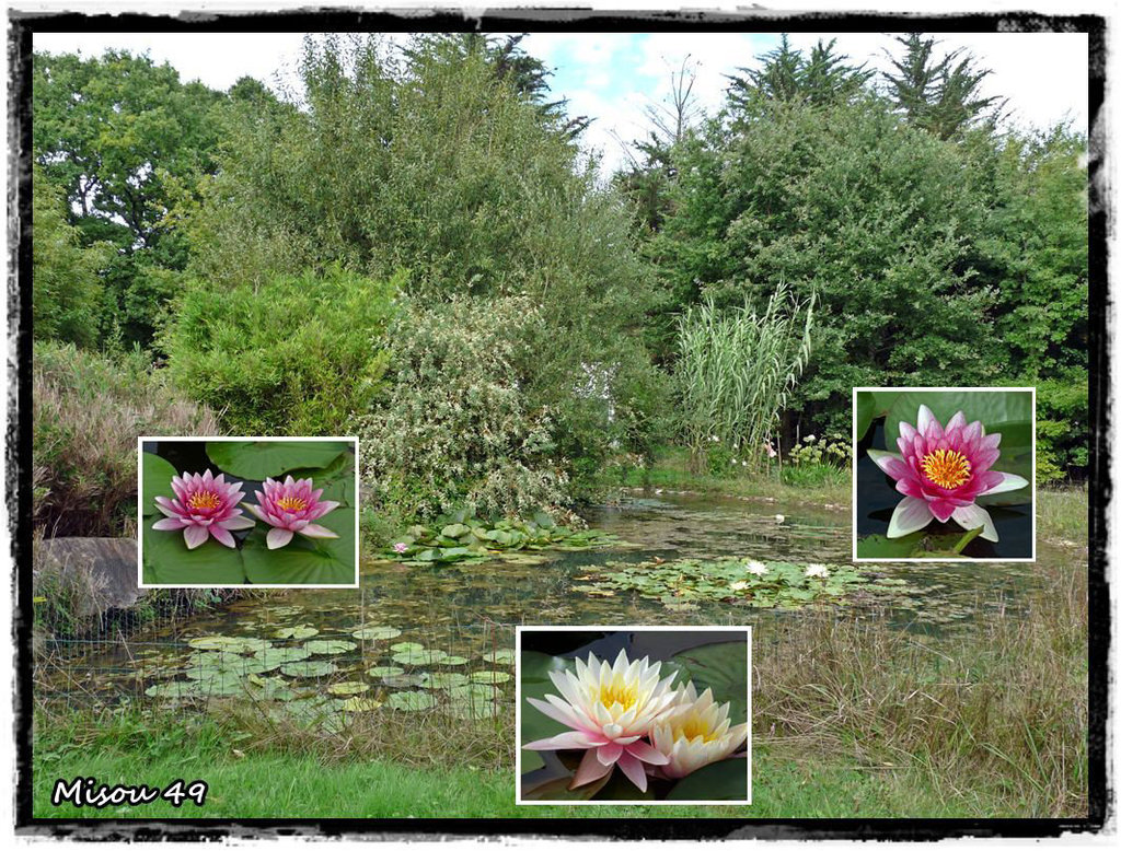 JARDINS du LORIOT-VENDEE