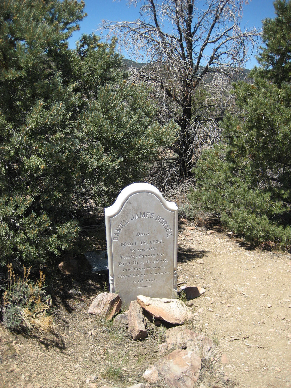 Pine Grove 15